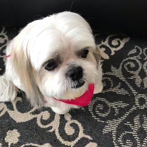 Meet your Posher, Laura